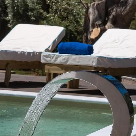 Anatoli Vila *