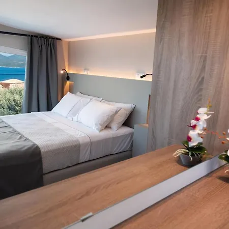 Anatoli فيلة نِكيانا